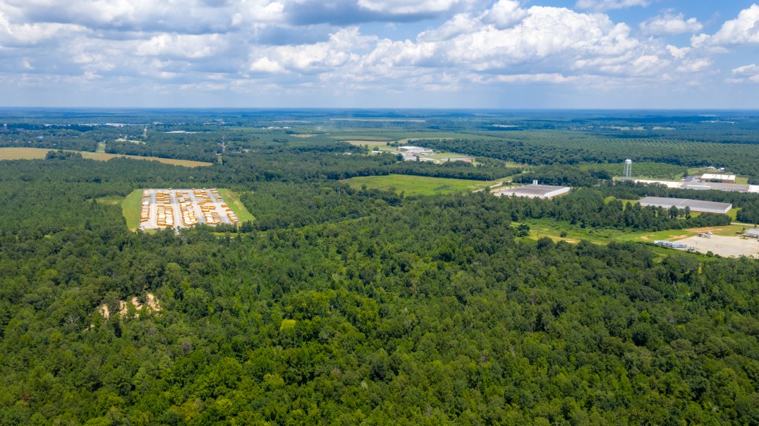 South Peach Industrial Park Development Authority of Peach County